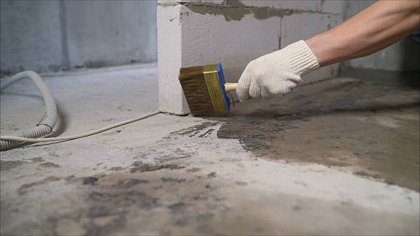 SJ Waterproofing Pros Waterproofing coverage map for Mount Pleasant, SC and surrounding area